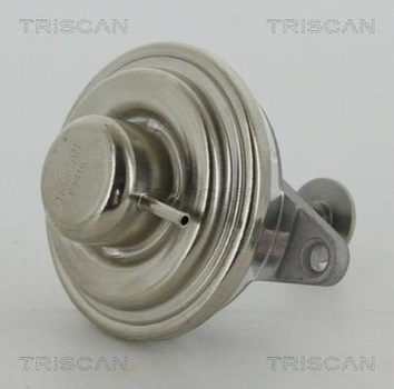 Клапан ЕГР TRISCAN 881324054 Opel Vectra 9117505, 5338033, 849104