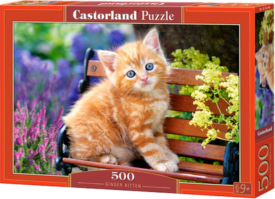 Puzzle Castorland Kitten 500 elementów (PC-52240)