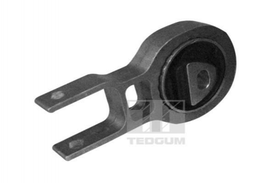 Подушки двигателя TEDGUM 00219531 Fiat Doblo 51815759