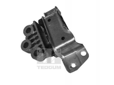 Подушки двигуна TEDGUM 00219579 Fiat Doblo 51849522