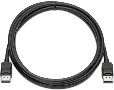 Kabel HP DisplayPort – DisplayPort 2 m Black (884962395547)