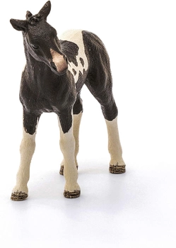 Фігурка Schleich Farm World Pinto Foal 8 см (4059433322650)