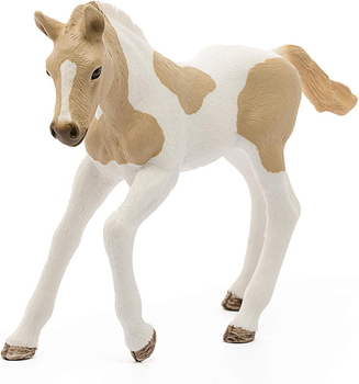 Figurka Schleich Horse Club Paint Horse Foal 7.9 cm (4059433025650)