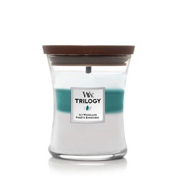Ароматическая свеча с древесными нотами Woodwick Medium Icy Woodland 275 г