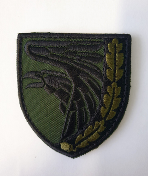 Шеврон, нарукавна емблема з вишивкою ВОРОН, на липучці, олива 80×70мм