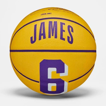 Баскетбольный мяч Wilson NBA Player Icon Lebron James Mini Ball
