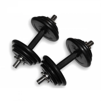Гантели наборные Fitnessport DB-01-19 кг (ручка - каучук) пара