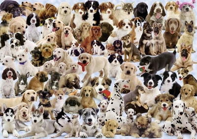 Пазл Ravensburger Собаки 1000 елементів (4005556156337)