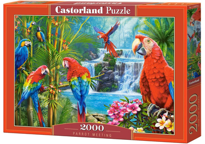 Puzzle Castor Papugi spotkanie 2000 elementów (5904438200870)