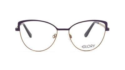 Оправа для окулярів GLORY 613 VIOLET 53