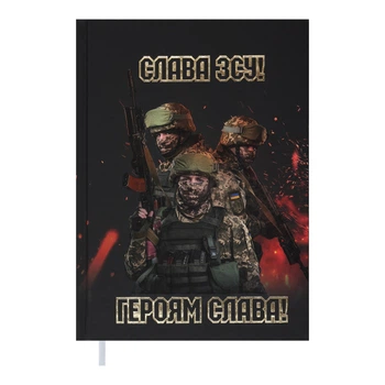Дневник недатированный Buromax Heroes А5 288 страниц черно-бордовый (BM.2063-81)