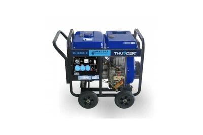 Дизельний генератор THUNDER TS-12000-D