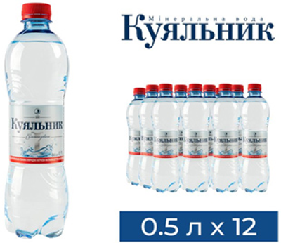 Упаковка мінеральної газованої води Куяльник 1С 0.5 л х 12 пляшок (4820001021073)