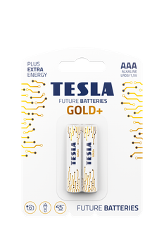 Батарейки Tesla AAA GOLD блистер 2 шт (LR03)