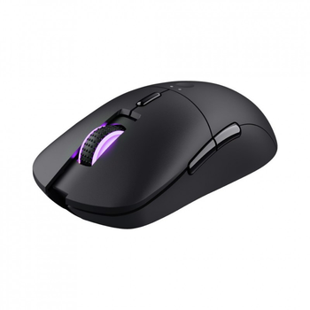 Мышка Trust GXT 980 Redex Wireless/USB RGB Black (24480) (170167)