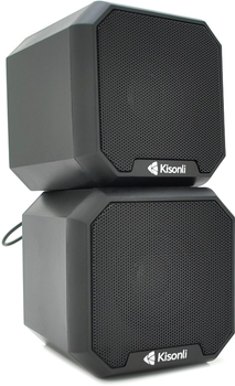 Акустическая система Kisonli KS-02 Black (YT23409)
