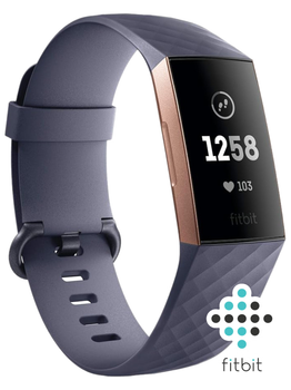 Фітнес-браслет Fitbit Charge 3 (FB409RGGY) Blue Grey/Rose Gold