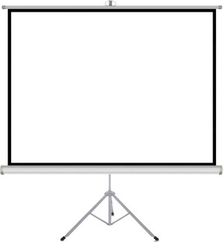Ekran projekcyjny ART 4:3 TS-100 na statywie 203 x 152 cm (ER T100 4:3)