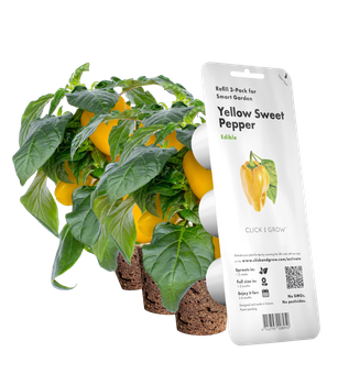 Wkład wymienny Click&Grow Papryka słodka 3 szt (4742793008950)