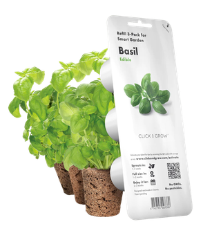 Wkład wymienny Click&Grow Bazylia 3 szt (4742793007199)