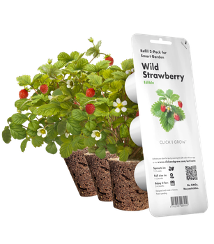 Wkład wymienny Click&Grow Poziomka (4742793007410)