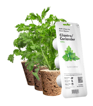 Wkład wymienny Click&Grow Kolendra 3 szt (4742793008417)