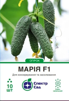Семена огурец Мария F1 Sakata 10 шт