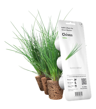 Wkład wymienny Click&Grow Szczypiorek 3 szt (4742793007540)