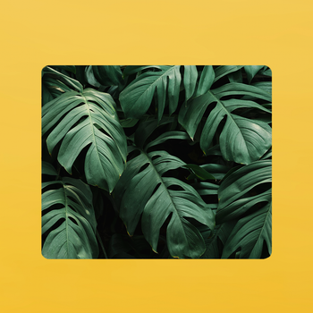 Коврик под мышку прямоугольный (22*18 см) Tropical leaves