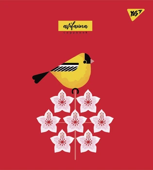 Набір зошитів учнівських YES Avifauna А5 12 аркушів у клітинку 10 шт (766791)
