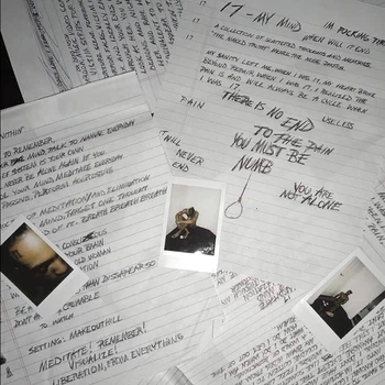 Виниловая пластинка Xxxtentacion 17