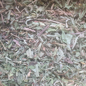 Стевия медовая трава сушеная 100 г