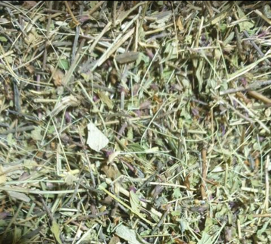 Очанка трава сушеная 100 г