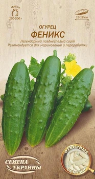 Огірок Фенікс Насіння України 1г