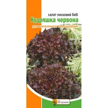 Насіння Салат бебі Кудряшка червоний Яскрава 1 г