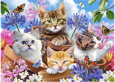 Puzzle Castor Kittens with Flowers 40 x 29 cm 70 elementów (5904438070107)