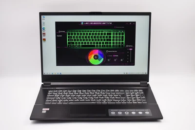 Ігровий ноутбук 17,3" Medion Erazer Gaming Defender E10 Intel Core i5-10300H RAM 32 ГБ SSD 256 ГБ + HDD 500 ГБ NVIDIA GTX 1650 Win10 б/в (Lenovo Group)