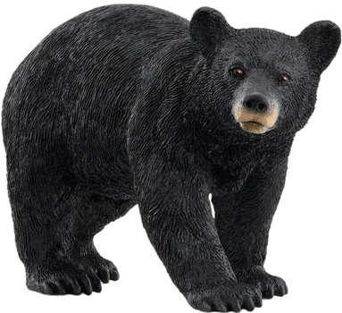 Figurka Schleich Wild Life Amerykański niedźwiedź czarny 5.6 cm (4059433789415)