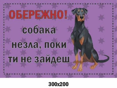 Собака зла Табличка-попередження 300х200 мм д-9258