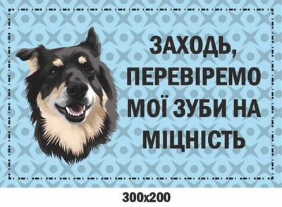 Табличка із попередженням Злий пес (із шуткою) 300х200 мм д-9254