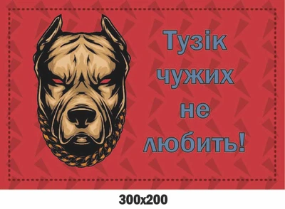 Табличка-застереження на ворота чи двері Злий пес 300х200 мм д-9260