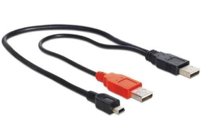 Kabel Delock 2 x USB Type-A - mini-USB M/M 0.3 m Black (4043619831784)