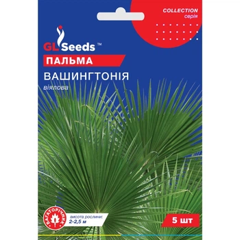 Семена Пальма веерная Вашингтония GL Seeds 5шт (collection1256)