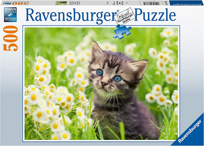 Puzzle Ravensburger Kitten In The Meadow 500 elementów (4005556173785)