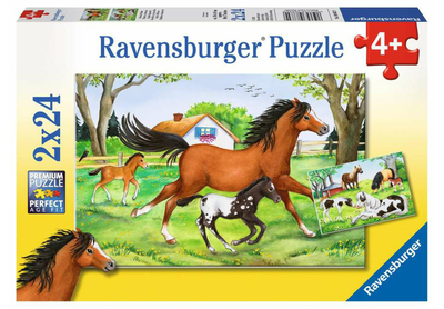 Puzzle Ravensburger World of Horses 2 x 24 elementy (4005556088829)