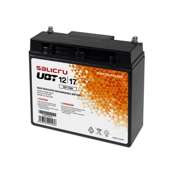 Батарея для ИБП Salicru UBT12/17 (013BS000004)