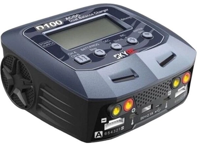 Зарядний пристрій SkyRC D100 V2 10 А / 100 ВтxAC / 200 ВтxDC (SK-100131-02)