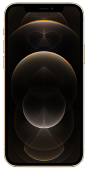 Smartfon Apple iPhone 12 Pro 512GB Gold (APL_MGMW3)