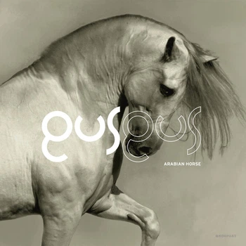 Вінілова платівка Gusgus Arabian Horse