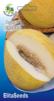 Дыня Дидона (2г.)